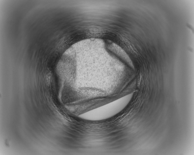 X0000095900647200802081141