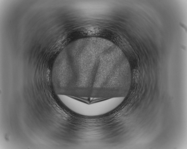 X0000095900650200802081141