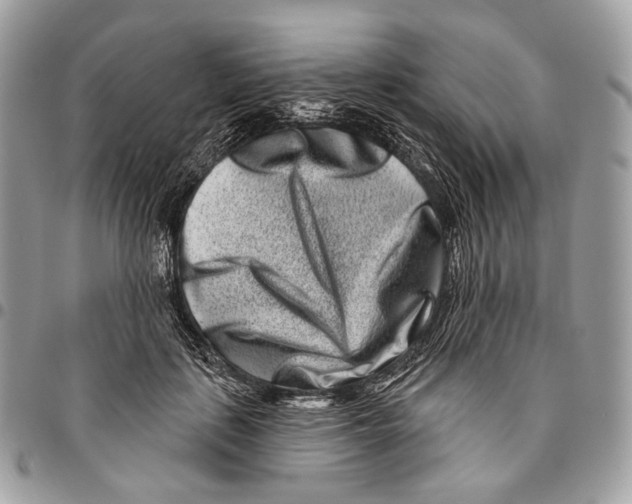 X0000095900651200802081141