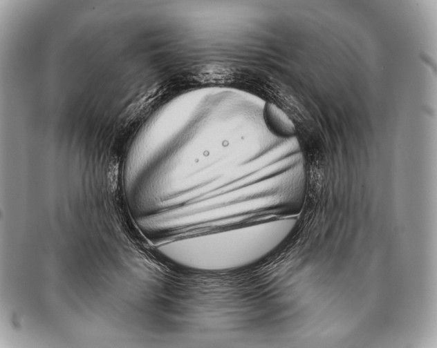 X0000095900652200802081141