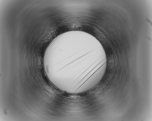 X0000095900654200802081141