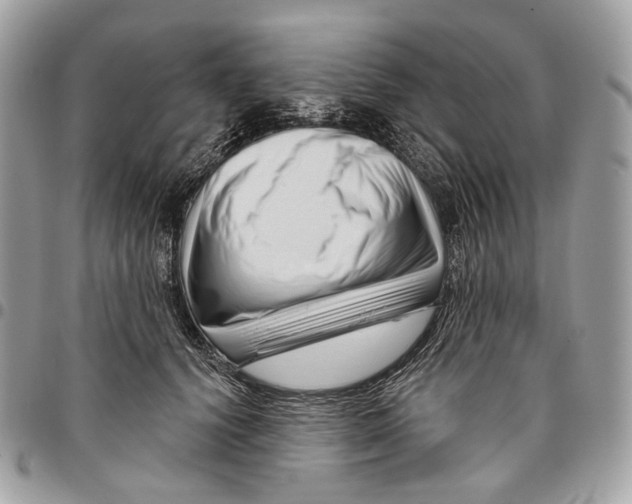 X0000095900656200802081141