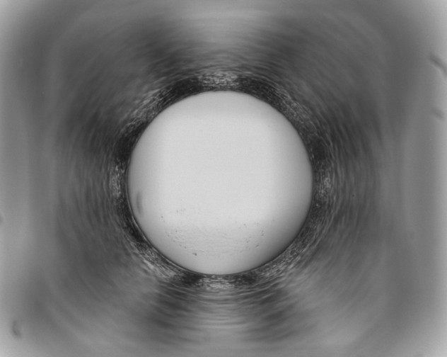 X0000095900658200802081141