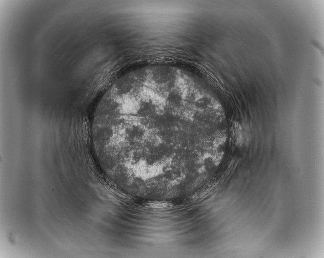 X0000095900659200802081141