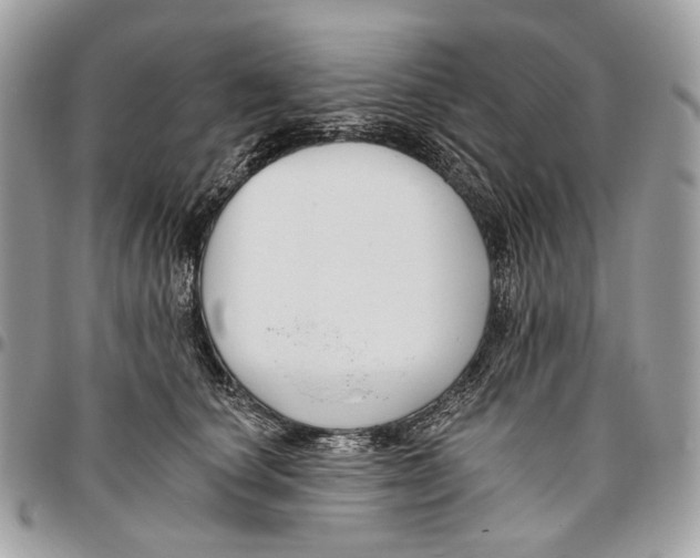 X0000095900660200802081141