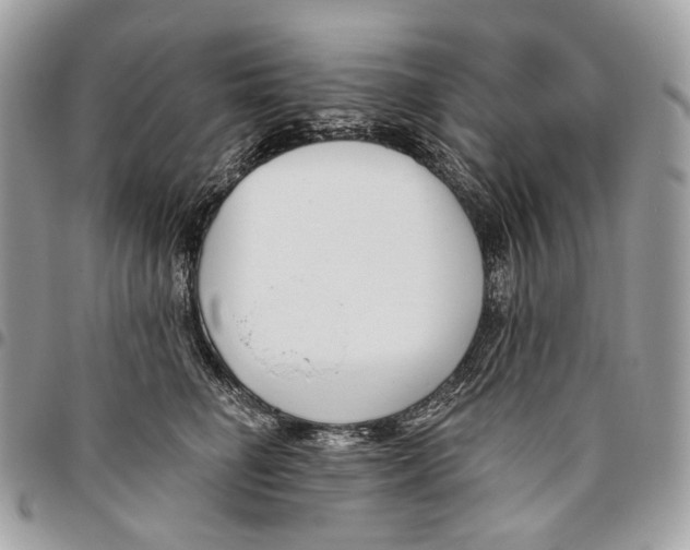 X0000095900662200802081141