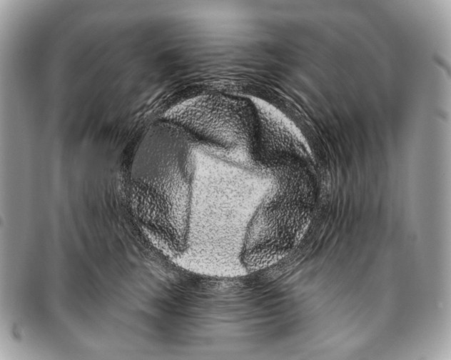 X0000095900663200802081141