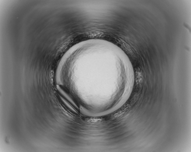 X0000095900664200802081141