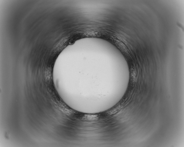 X0000095900665200802081141