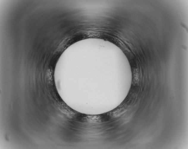 X0000095900667200802081141