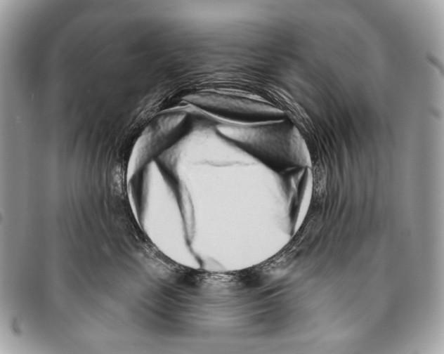 X0000095900669200802081141