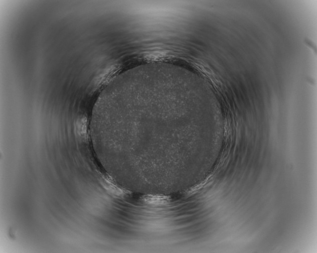 X0000095900670200802081141