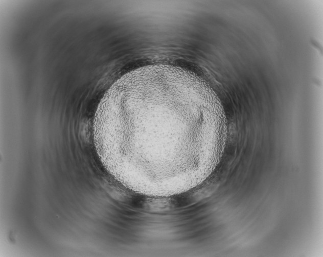 X0000095900671200802081141