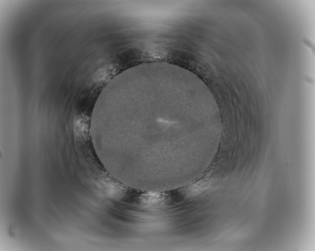 X0000095900672200802081141