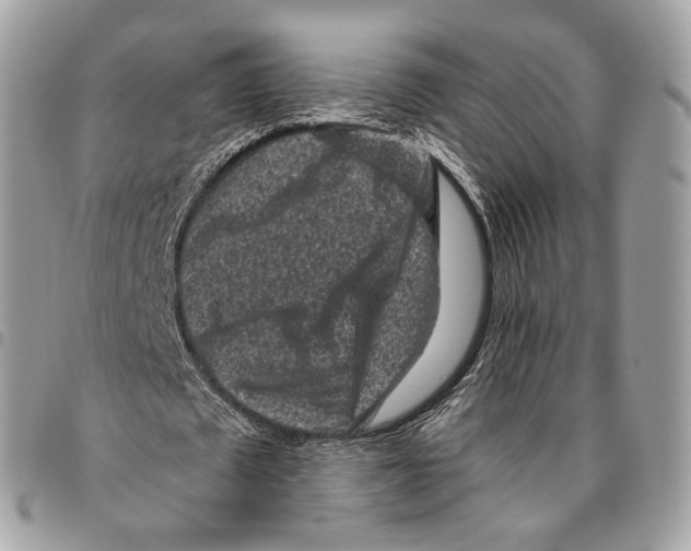 X0000095900673200802081140