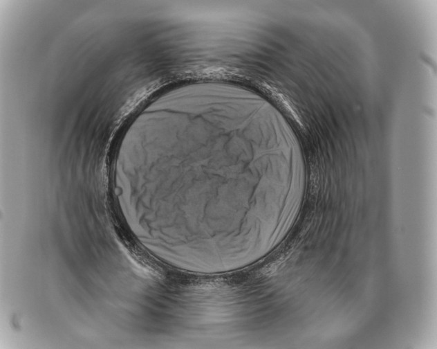 X0000095900674200802081140