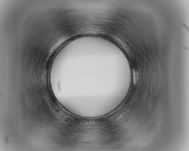 X0000095900675200802081140