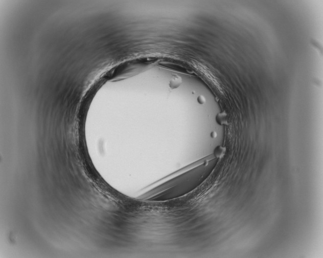 X0000095900676200802081140