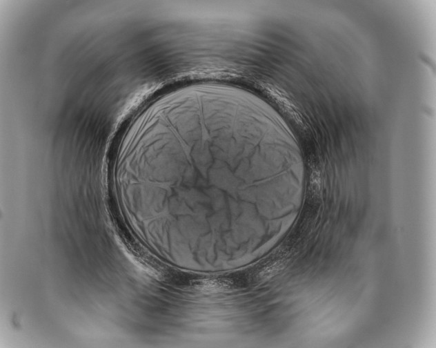 X0000095900678200802081140