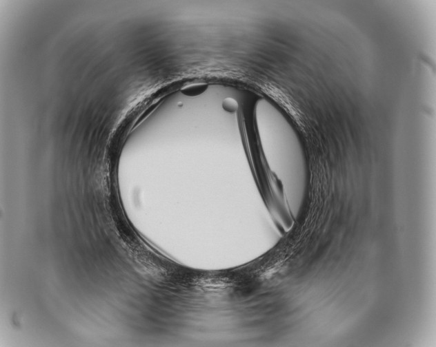 X0000095900680200802081140