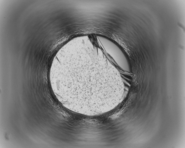 X0000095900681200802081140