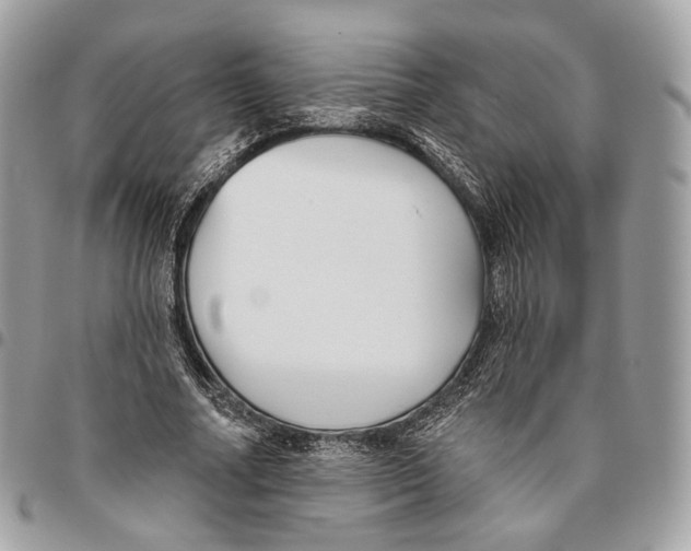 X0000095900682200802081140