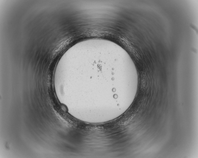 X0000095900683200802081140