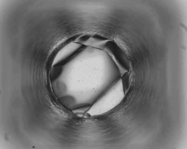 X0000095900684200802081140