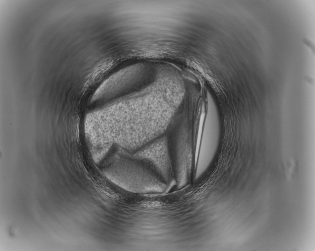 X0000095900685200802081140