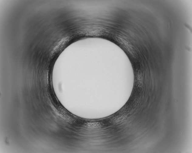 X0000095900686200802081140