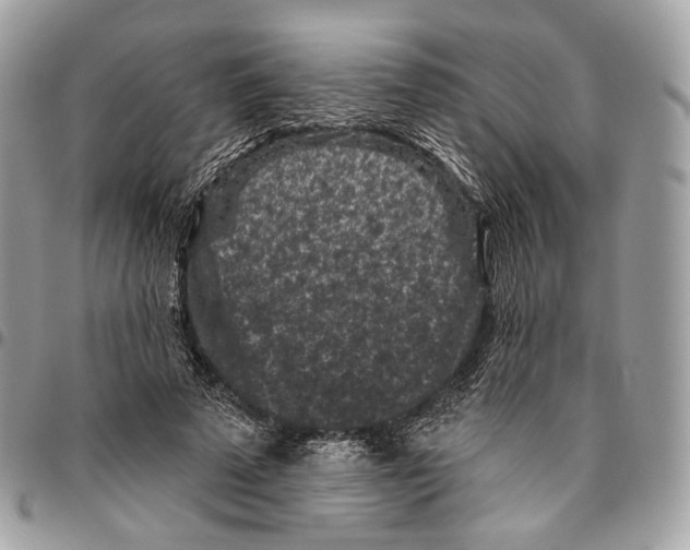 X0000095900689200802081140