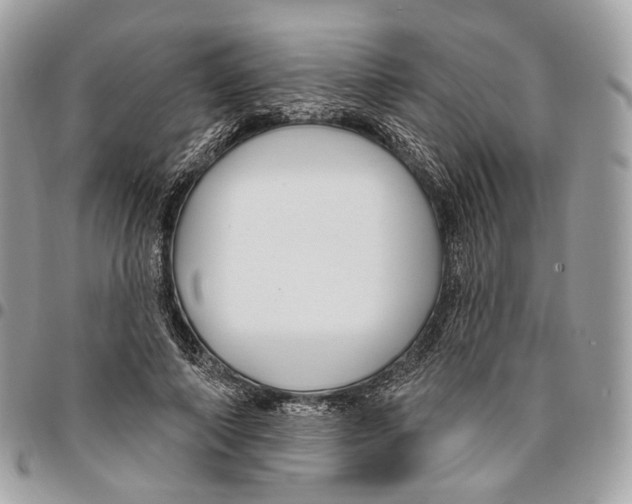 X0000095900690200802081140