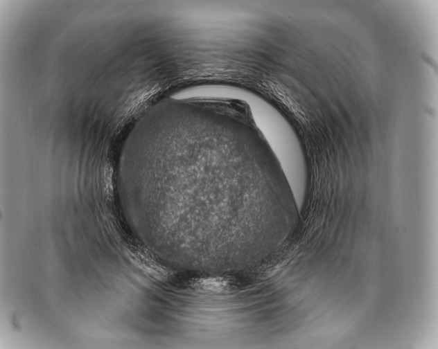 X0000095900692200802081140