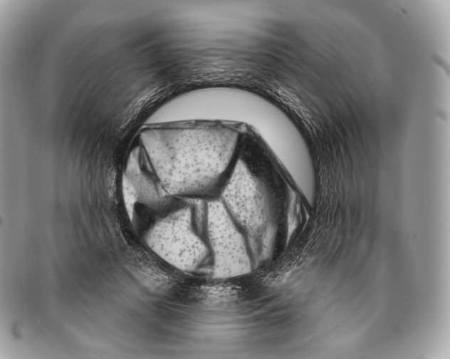 X0000095900693200802081140