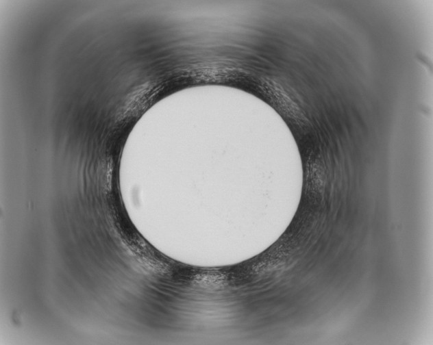 X0000095900694200802081140