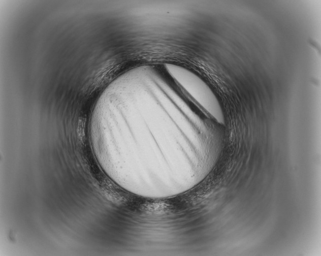 X0000095900695200802081140