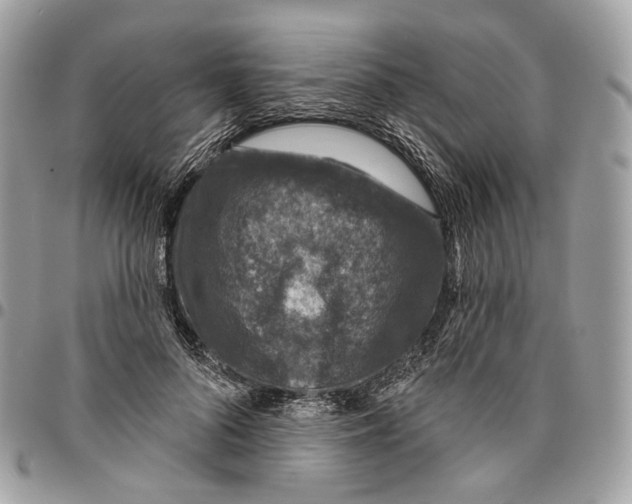 X0000095900696200802081140