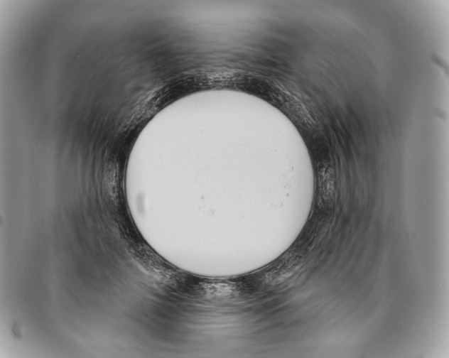 X0000095900698200802081140