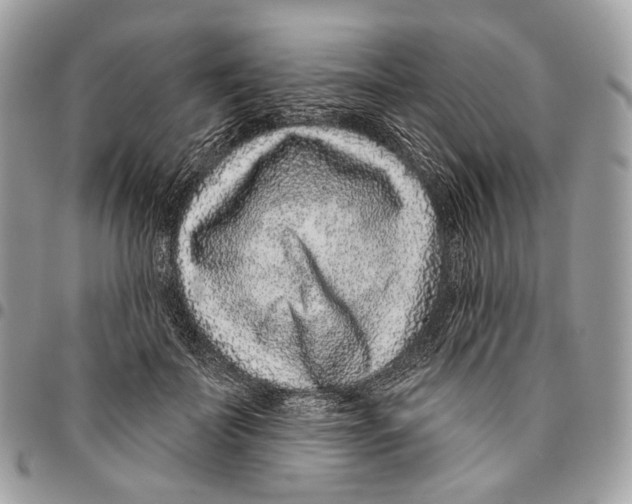 X0000095900699200802081140