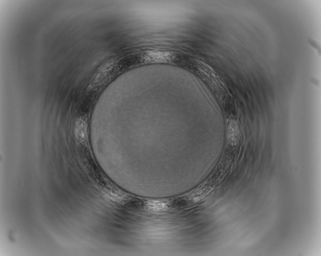 X0000095900701200802081140