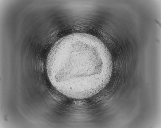 X0000095900703200802081140