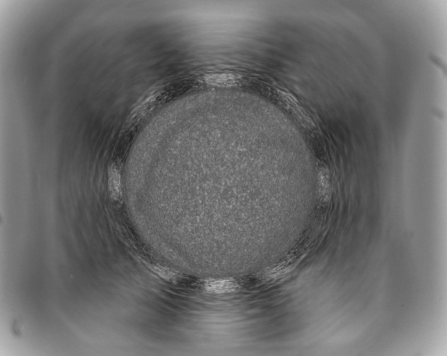 X0000095900705200802081140