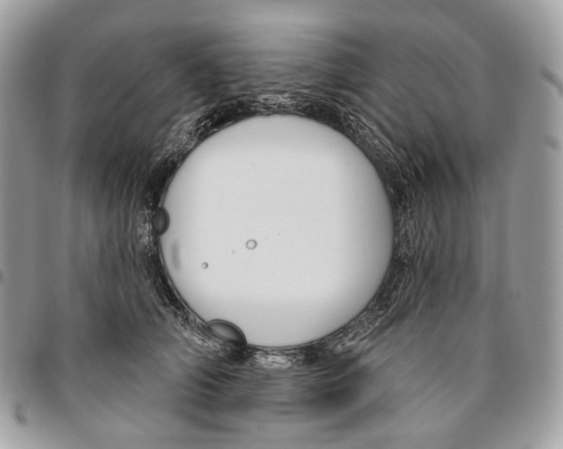 X0000095900706200802081140