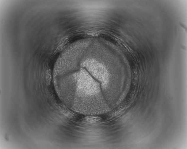 X0000095900707200802081140