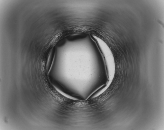 X0000095900708200802081140