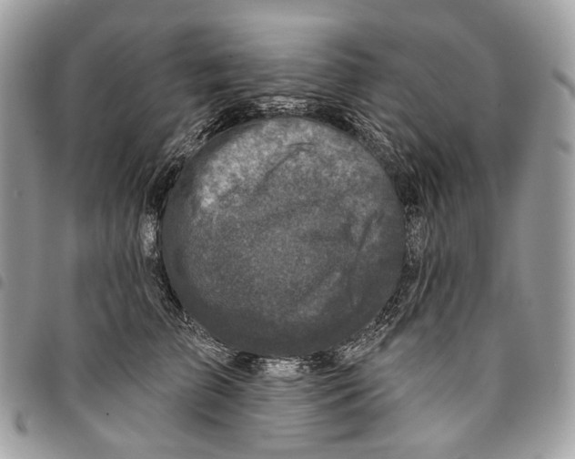 X0000095900709200802081140