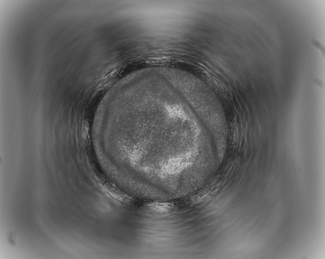 X0000095900711200802081140