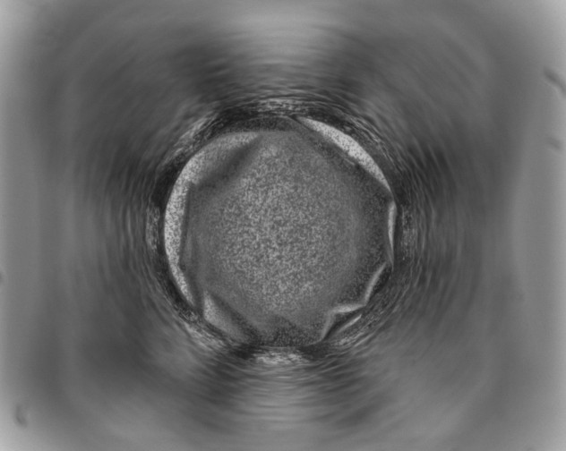 X0000095900712200802081140