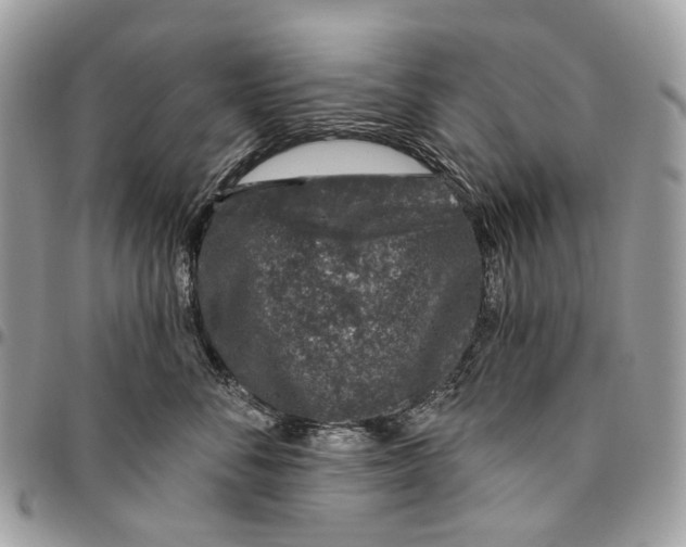 X0000095900716200802081140