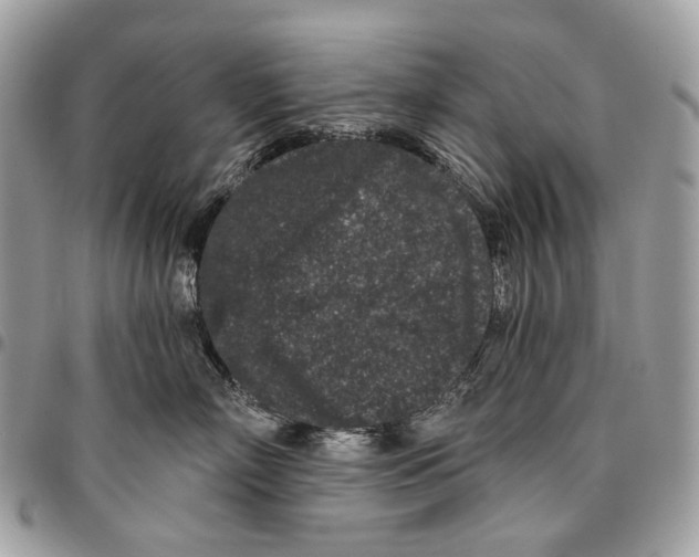 X0000095900718200802081140